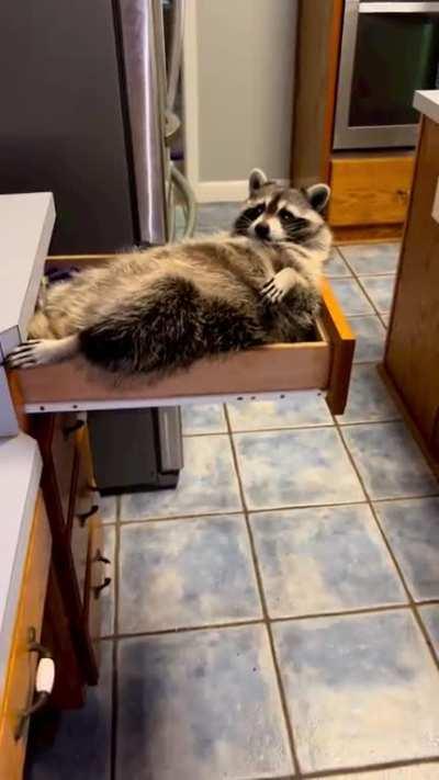 Yes, I'm insolent, but so what?