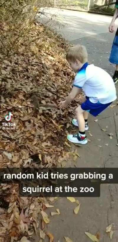 Kid tries to pick up a squirrel
