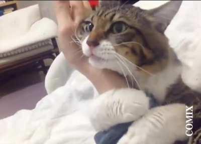 never gonna let you go..