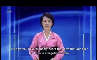 Funniest shit youll ever see