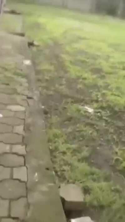 I think we should get JJ to watch this 😂