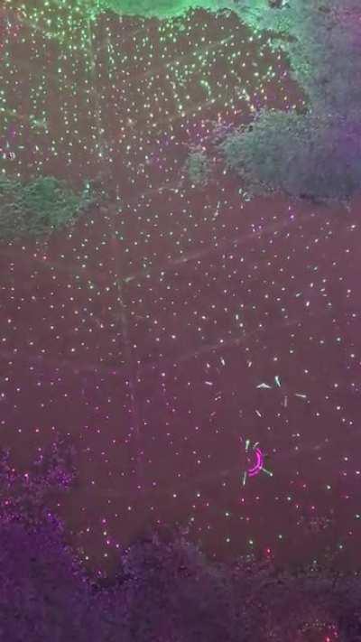 Puddle reflecting lights