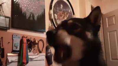 Important message from Nahko to All Humans! Sound on!!