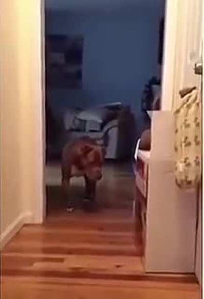 Just need the start/stop music