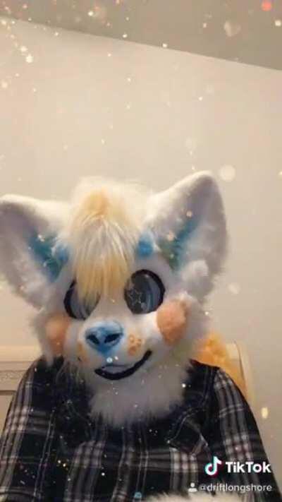 First video with my new suit! My TikTok is @driftlongshore, and the suit was made by @fennecrafts on insta