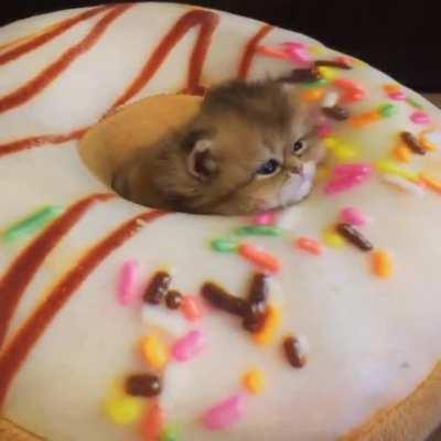 A little lover of big donuts.