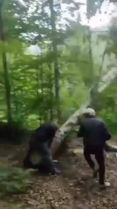 Ouch, right in the nuts