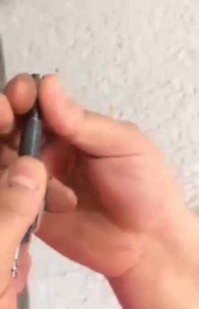 Раз в год и палка стреляет