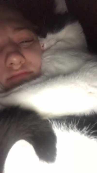 Affection is NOT optional