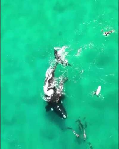 Can i play with you ....??