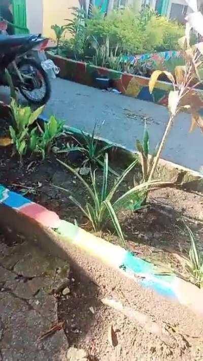 Tanginang mga NPA yan. This happened somewhere in Masbate.