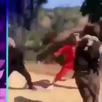 You can smell the mold