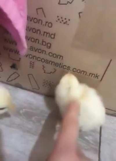 Always makes me giggle