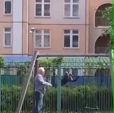 Cat... on a lead.... on a swing... swinging..