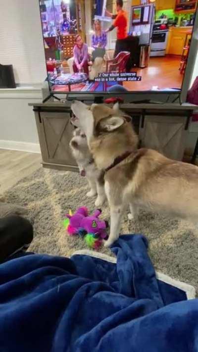 Arguing over their toys 🤷🏻‍♀️