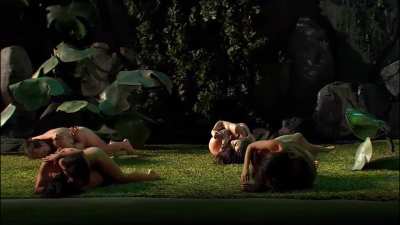 Les Indes galantes (gif 4)