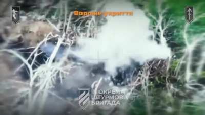 FPV pilots of the Ukrainian 3rd Assault Brigade attacked a Russian field ammunition depot, position, and infantry.