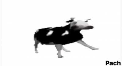 Vaca bailando a no se me ocurre un nombre para esta wea