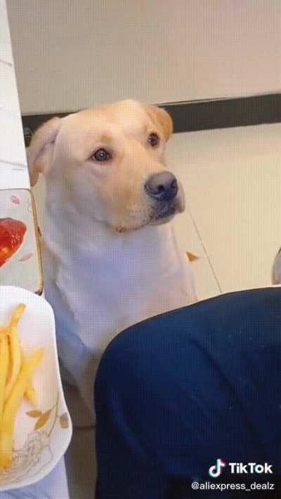 He won't eat it without ketchup