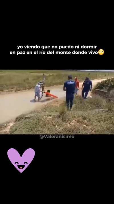 De esas veces que eres de sueño pesado