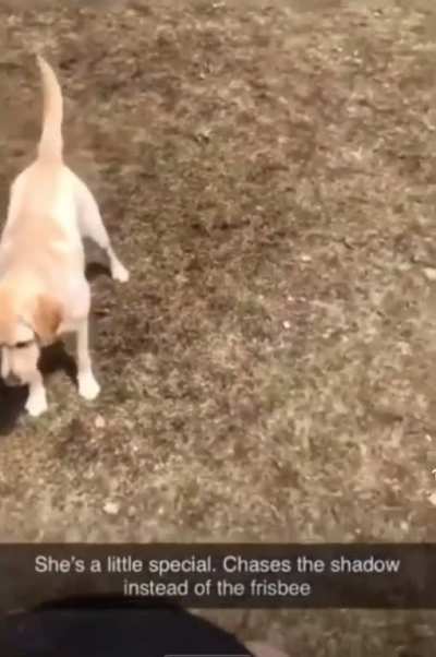 Got it got it *gets hit* the heck?!