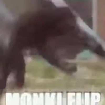 Monke flip