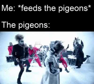 Ah yes ig the nero forte video can be used for memes too