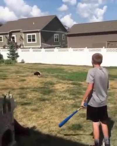 HMFT after strike one!