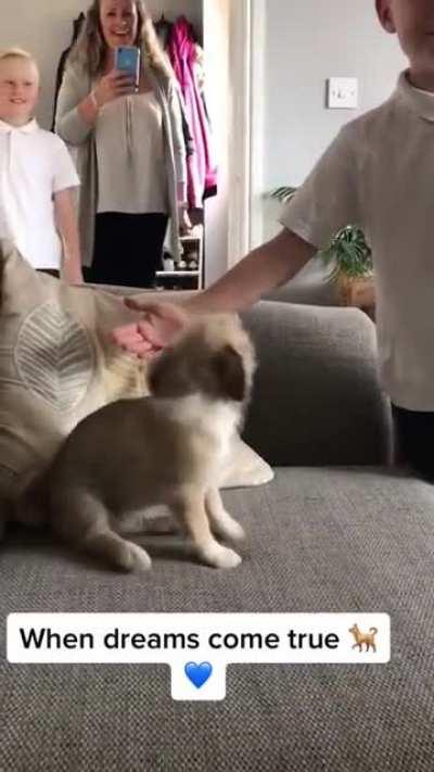 It's so cute how the pup immediately bonded with the kids!