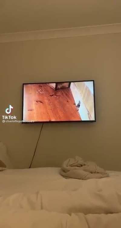 Tom and jerry be like: