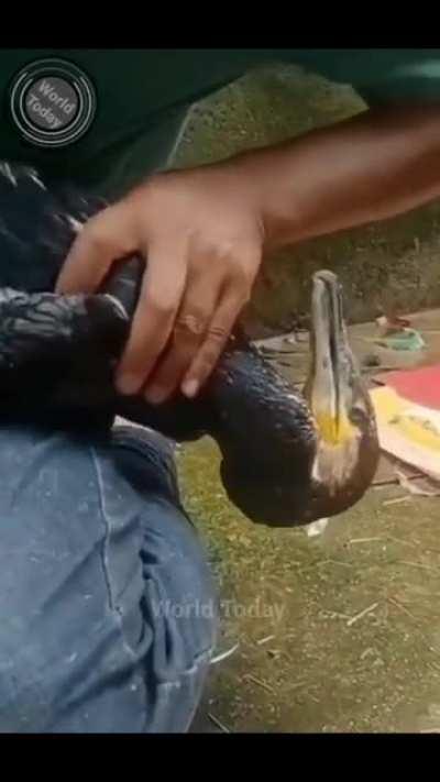 We need to eliminate single use plastics