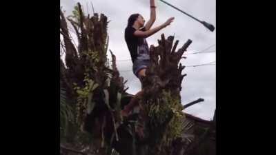 Alcohol + power lines