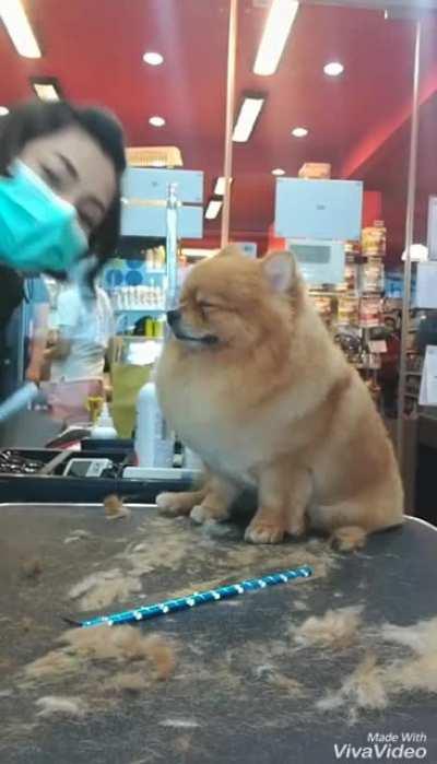 Going...going...gone!