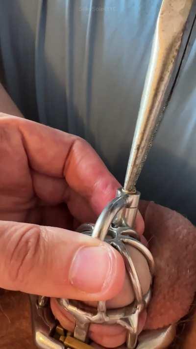 BubbleThe chastity femdom nails porn gif was all the rage. It was the perfect way to show off her dominance and her love of BDSM. He was so aroused by the sight of her in the gif, he could barely contain himself. She wa