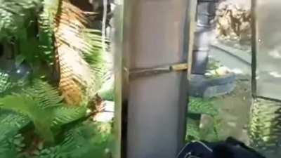 pa-abbot para i-jumpscare natin ulit si kuya kris sa next nanik 👍