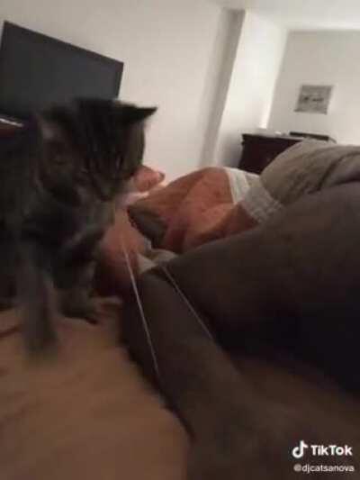 he knew exactly what he was doing