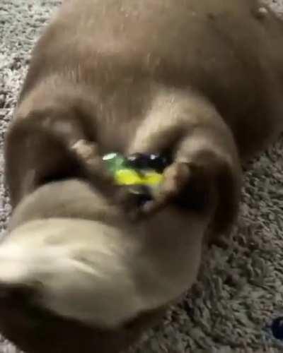 How they played with the marbles is adorable.