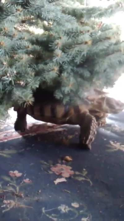 xmas party in full effect