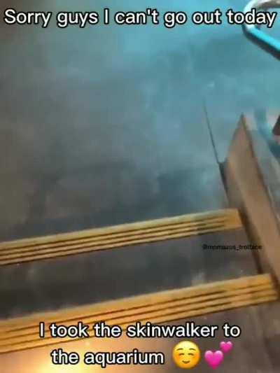 que fofo o skinwalker🥰