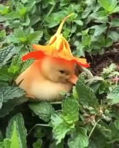 Sleepy lad with a flower cap
