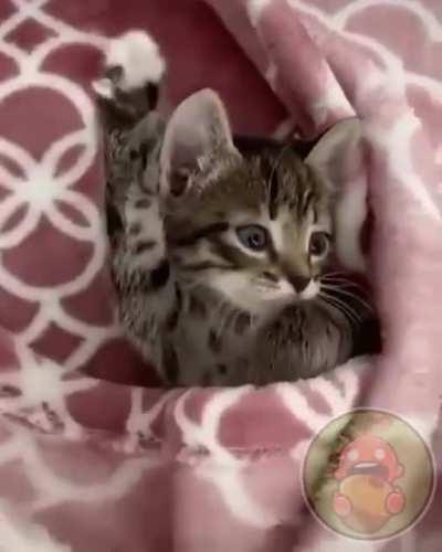 С добрым утром)