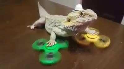 You'll never be this cool