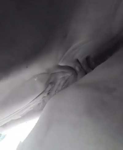 Shark swallows camera