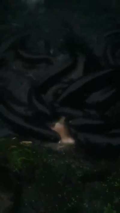 Vøįđ consumers of flesh and pizza