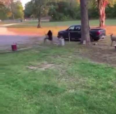 New Earth Defense Force looks legit