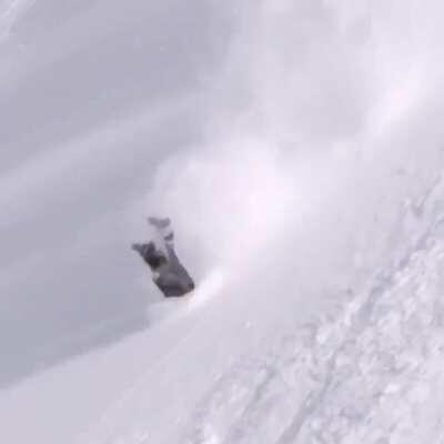 Sean Petit might be the new yard sale champion