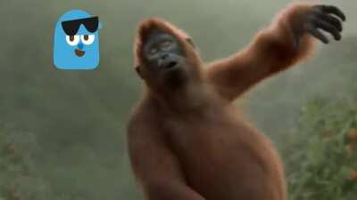 woah monkey dance