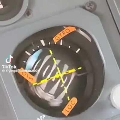 First time flying in direct lawn