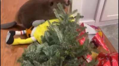 Если ты бобр - в любой ситуации строй плотину, не важно из чего