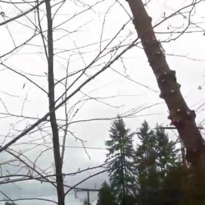 Day 22 of non-stop Enemy memes!